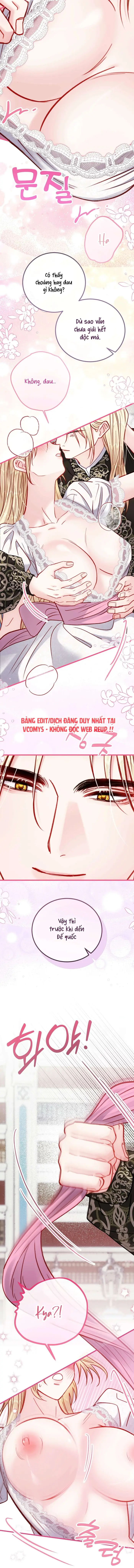 [ 18+ ] Bị Mắc Kẹt Trong Trò Chơi Harem Ngược Vô Vọng - Chap 29 Ảnh 14