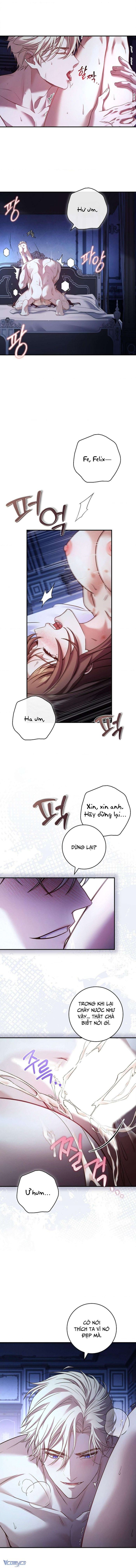 [18+] Tôi Bị Ràng Buộc Với Những Nam Chính Ghét Tôi - Chap 19 Ảnh 3