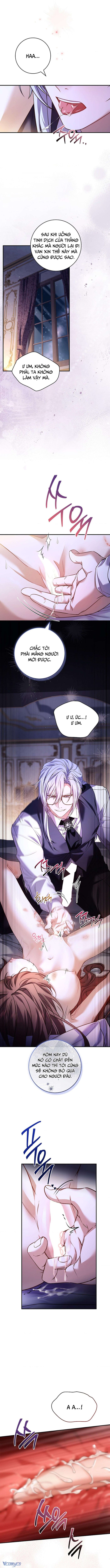 [18+] Tôi Bị Ràng Buộc Với Những Nam Chính Ghét Tôi - Chap 22 Ảnh 9