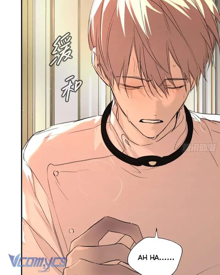 Ác Chi Hoàn - Chap 53 Ảnh 122