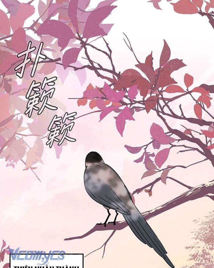 Ác Chi Hoàn - Chap 9 Ảnh 32