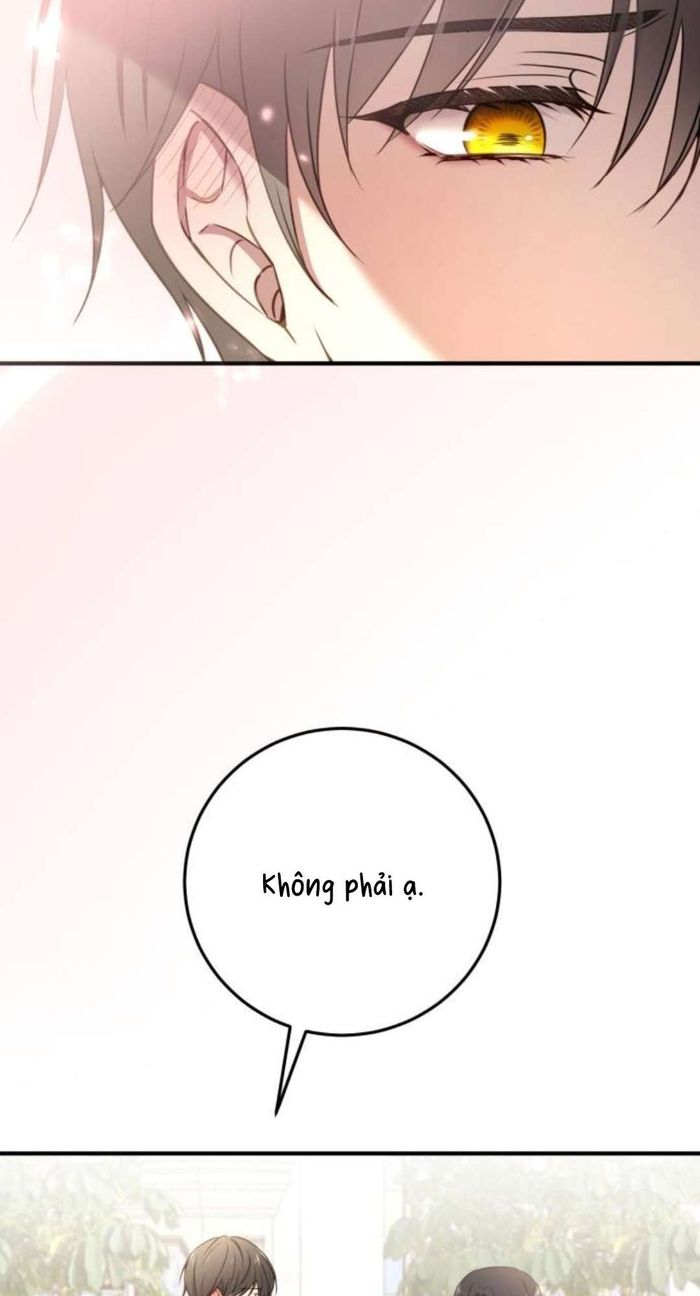 Ác nữ chỉ muốn sống yên bình - Chap 27 Ảnh 25