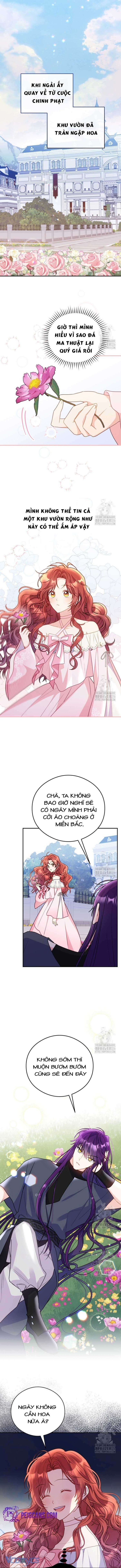 Ác Nữ Si Mê Đại Công Tước - Chap 13 Ảnh 1