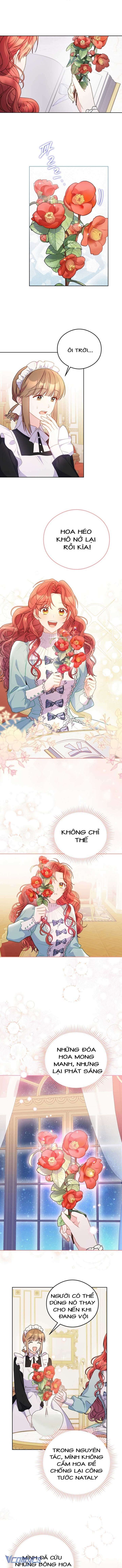 Ác Nữ Si Mê Đại Công Tước - Chap 6 Ảnh 3