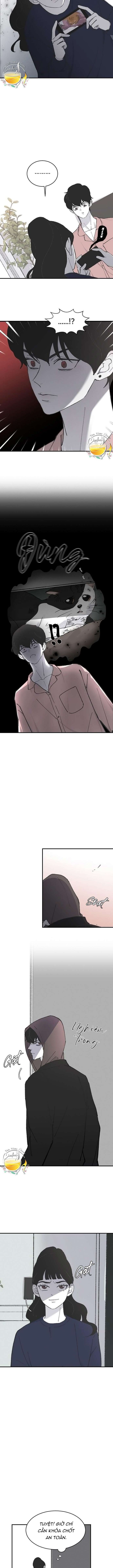 Ba Anh Trai Cực Phẩm Của Tôi - Chap 11 Ảnh 8