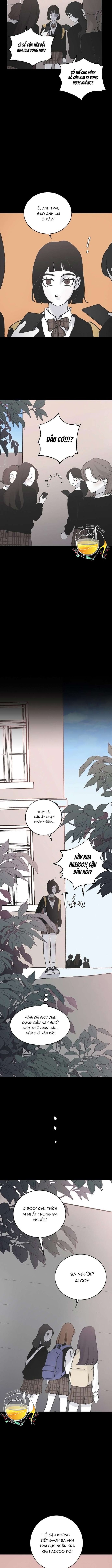 Ba Anh Trai Cực Phẩm Của Tôi - Chap 12 Ảnh 12