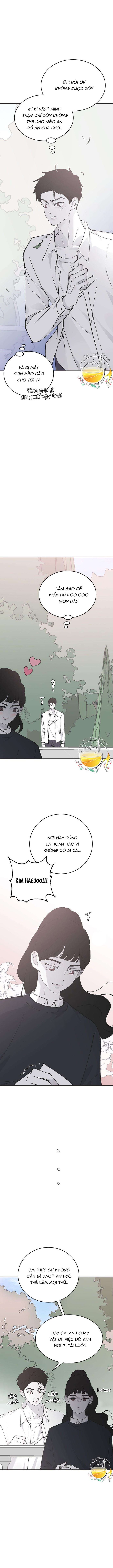 Ba Anh Trai Cực Phẩm Của Tôi - Chap 24 Ảnh 11