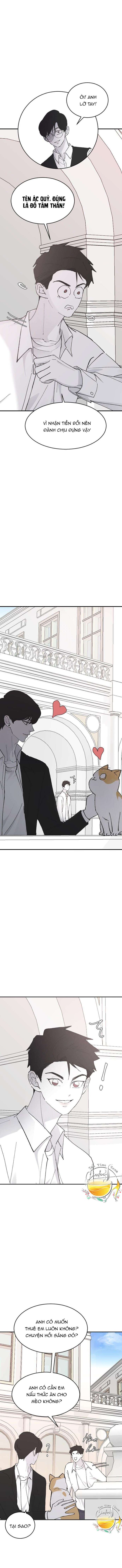 Ba Anh Trai Cực Phẩm Của Tôi - Chap 24 Ảnh 8
