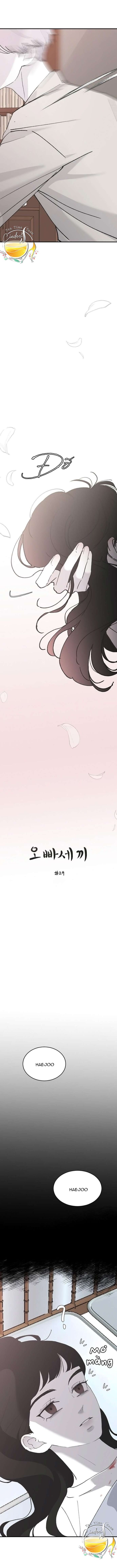 Ba Anh Trai Cực Phẩm Của Tôi - Chap 29 Ảnh 4