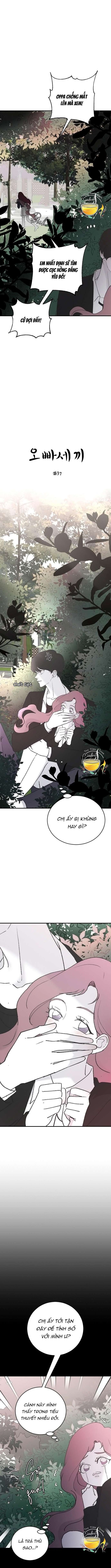 Ba Anh Trai Cực Phẩm Của Tôi - Chap 37 Ảnh 4