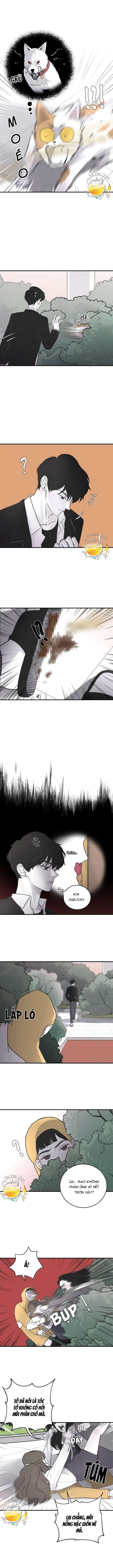 Ba Anh Trai Cực Phẩm Của Tôi - Chap 4 Ảnh 6