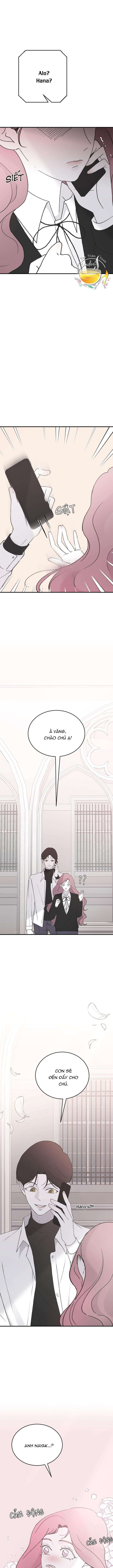 Ba Anh Trai Cực Phẩm Của Tôi - Chap 41 Ảnh 11