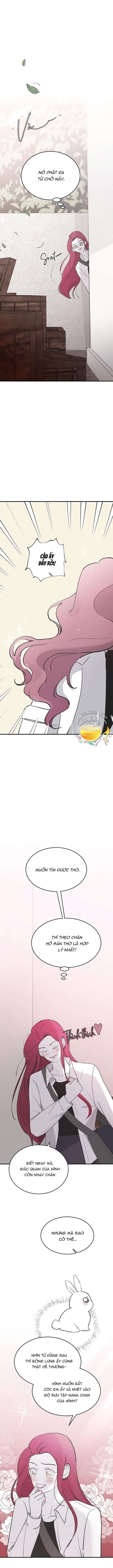 Ba Anh Trai Cực Phẩm Của Tôi - Chap 45 Ảnh 13