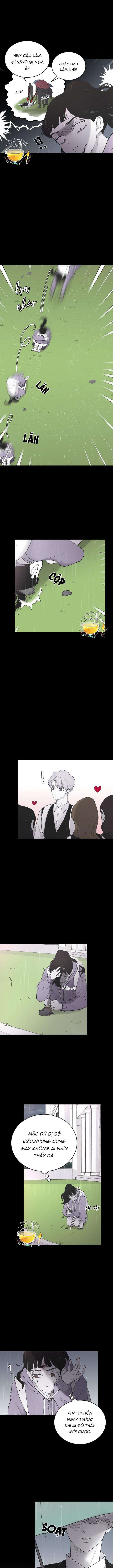Ba Anh Trai Cực Phẩm Của Tôi - Chap 6 Ảnh 5