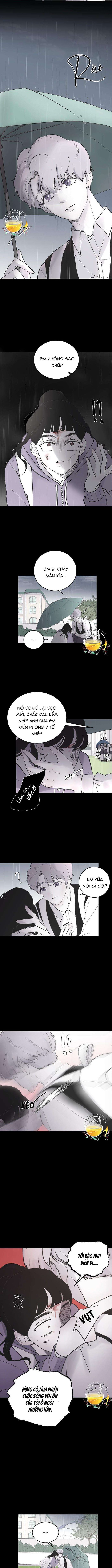 Ba Anh Trai Cực Phẩm Của Tôi - Chap 6 Ảnh 6