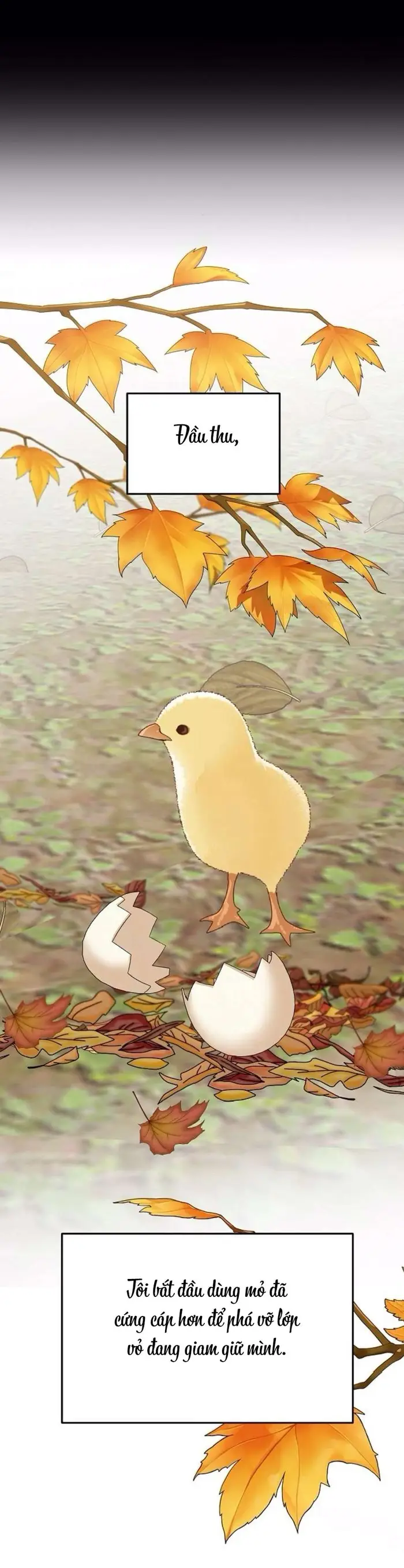 Cẩn Thận Va Phải Tình Yêu - Chap 29 Ảnh 33