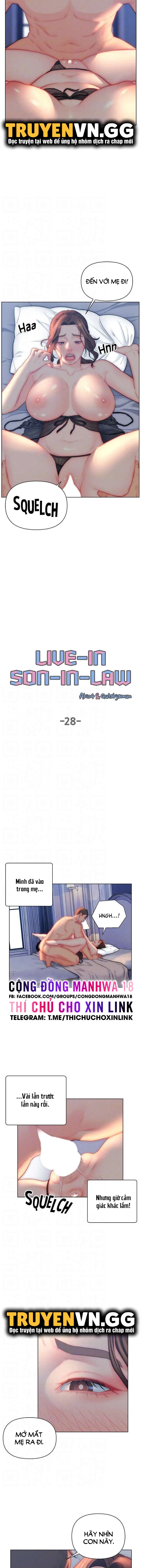 Con Rể Yêu - Chap 28 Ảnh 5
