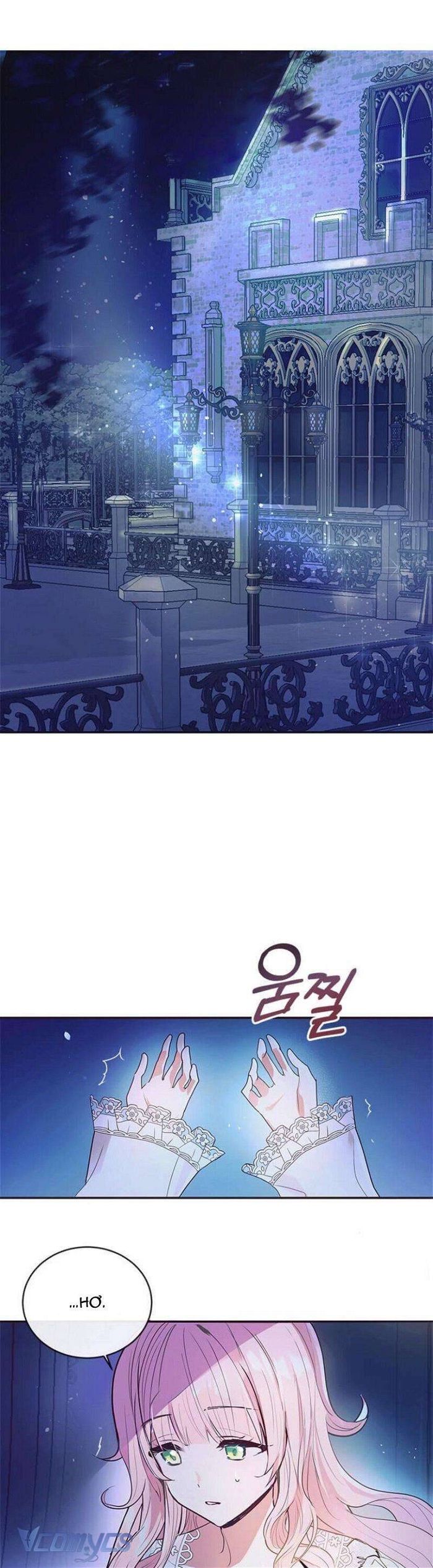 Đại Công Tước, Đó Chỉ Là Sai Lầm! - Chap 1 Ảnh 2