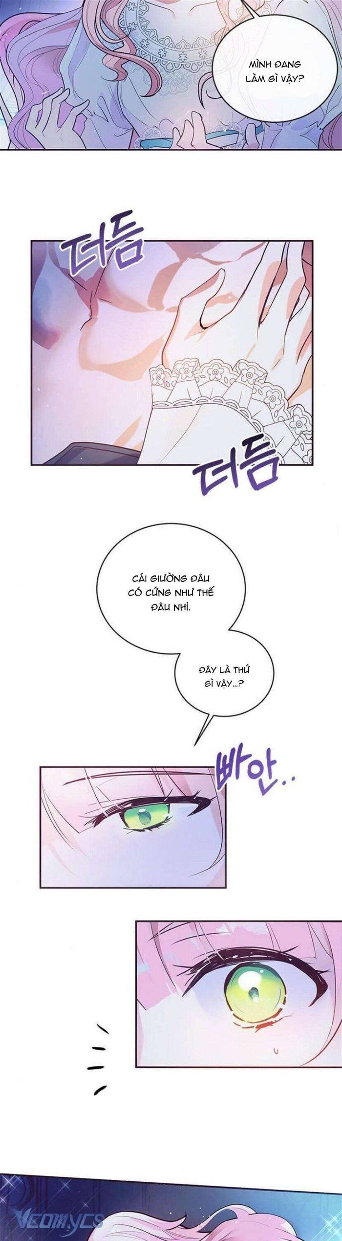 Đại Công Tước, Đó Chỉ Là Sai Lầm! - Chap 1 Ảnh 3