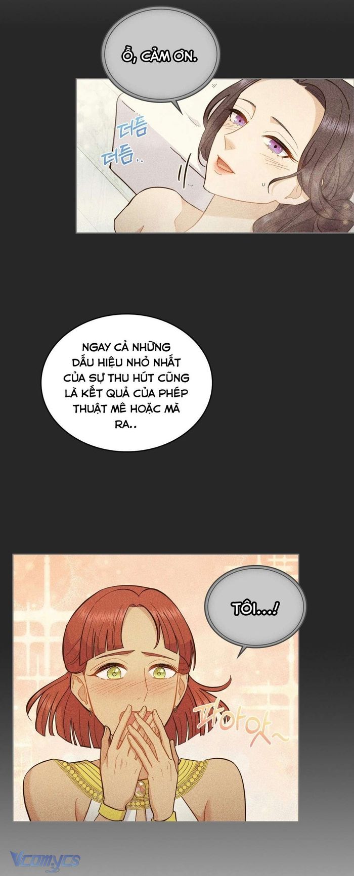 Hôn Nhân Giả Dối - Chap 20 Ảnh 30