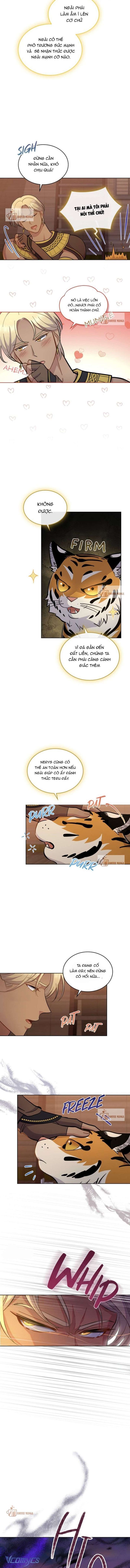 Hôn Nhân Giả Dối - Chap 22 Ảnh 9
