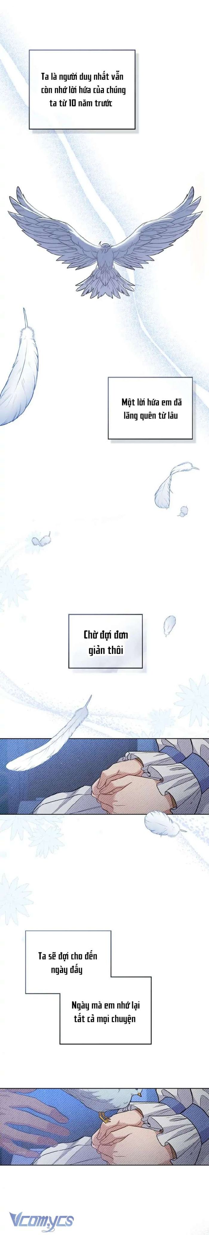 Hôn Nhân Giả Dối - Chap 33 Ảnh 17