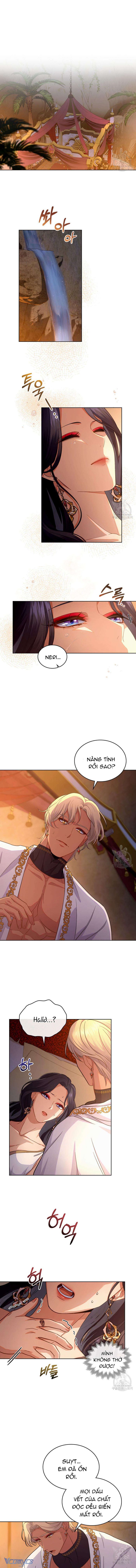 Hôn Nhân Giả Dối - Chap 46 Ảnh 5