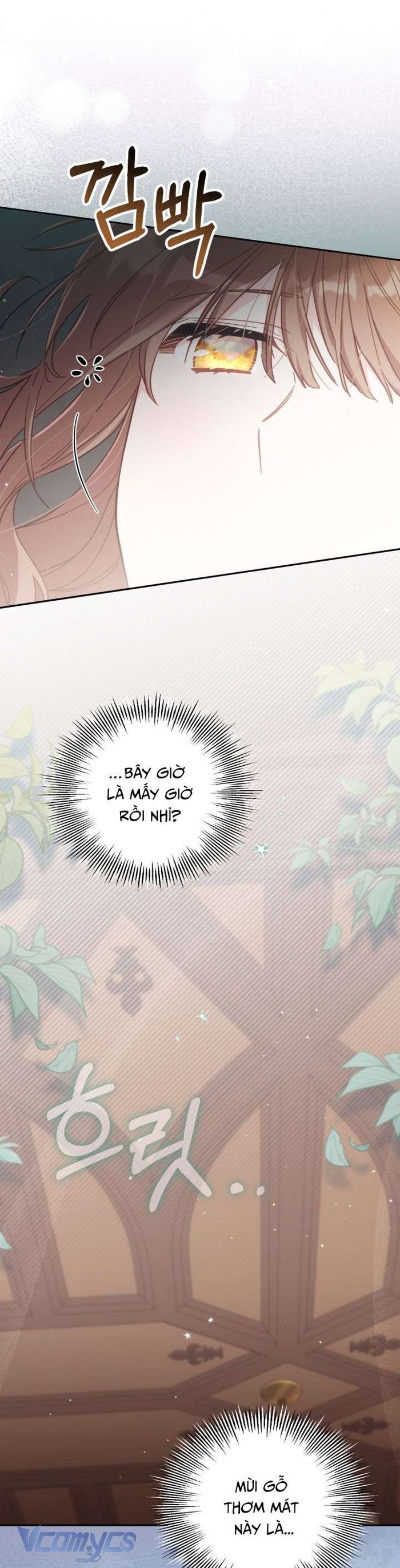 Không Có Chỗ Cho Kẻ Giả Mạo - Chap 30 Ảnh 2