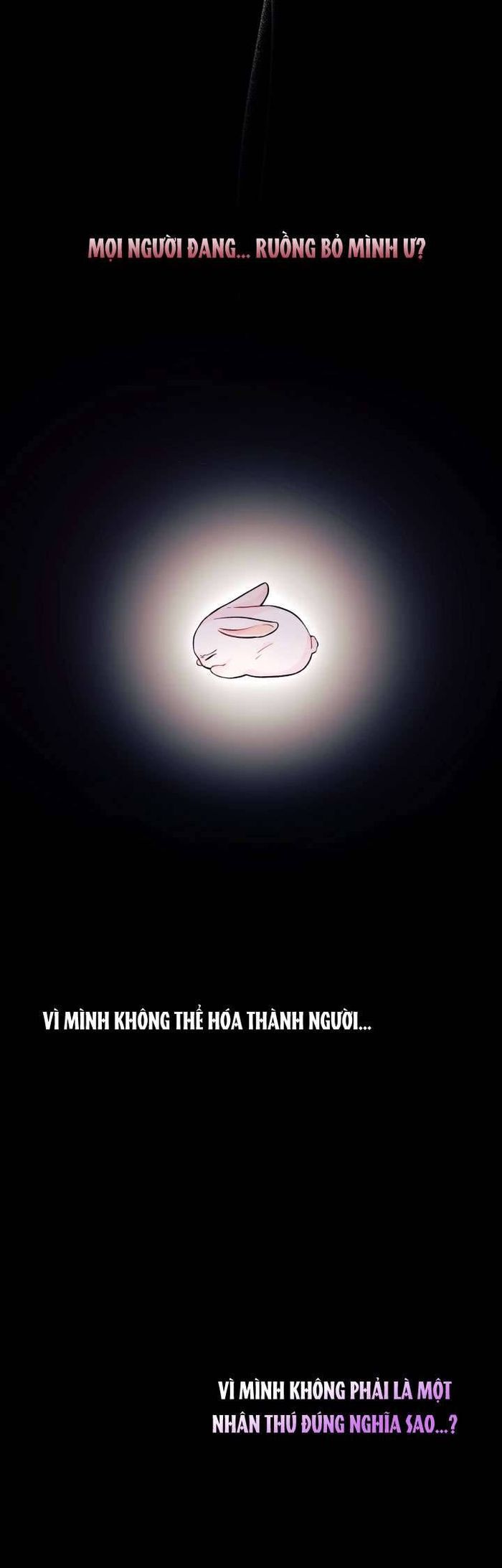 Mối Quan Hệ Cộng Sinh Giữa Báo Đen Và Thỏ Trắng - Chap 1 Ảnh 9