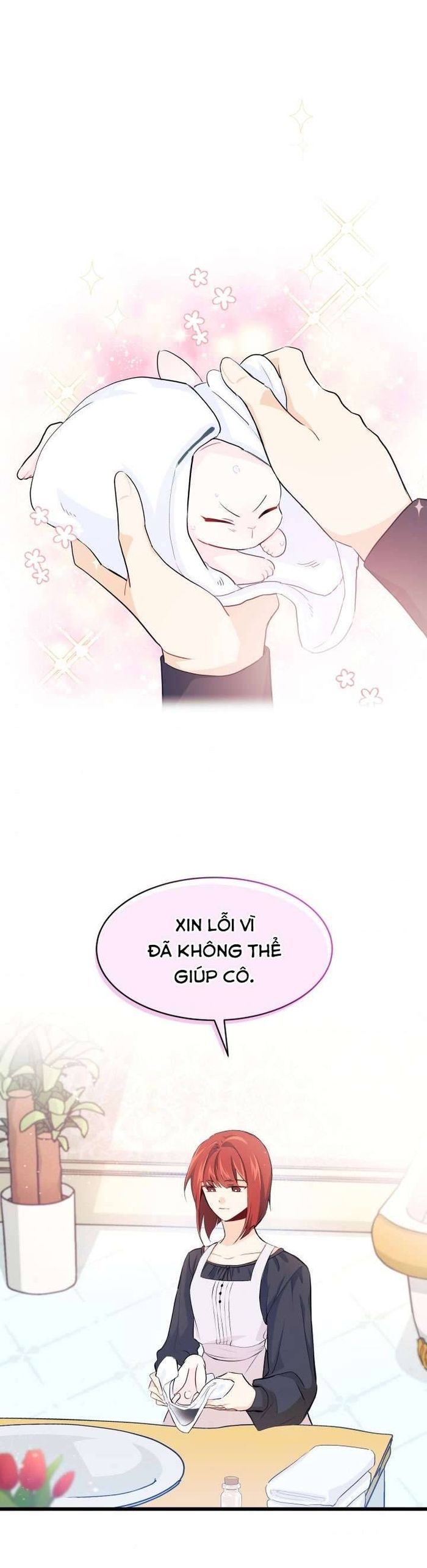 Mối Quan Hệ Cộng Sinh Giữa Báo Đen Và Thỏ Trắng - Chap 10 Ảnh 1
