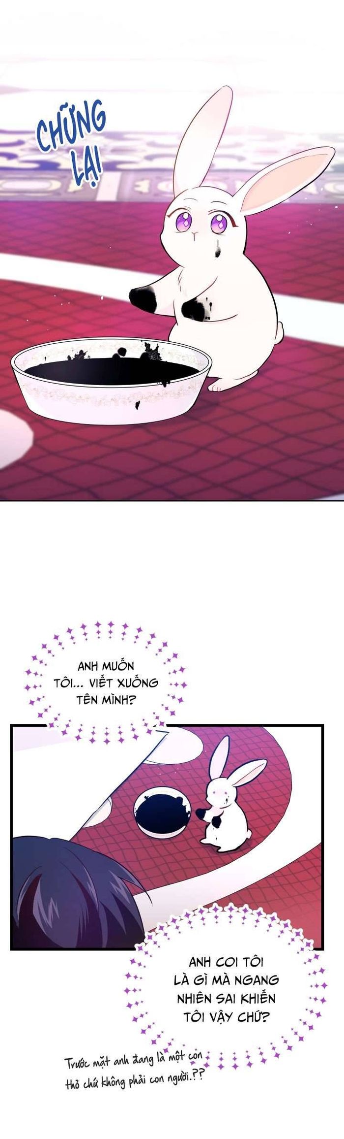 Mối Quan Hệ Cộng Sinh Giữa Báo Đen Và Thỏ Trắng - Chap 10 Ảnh 21