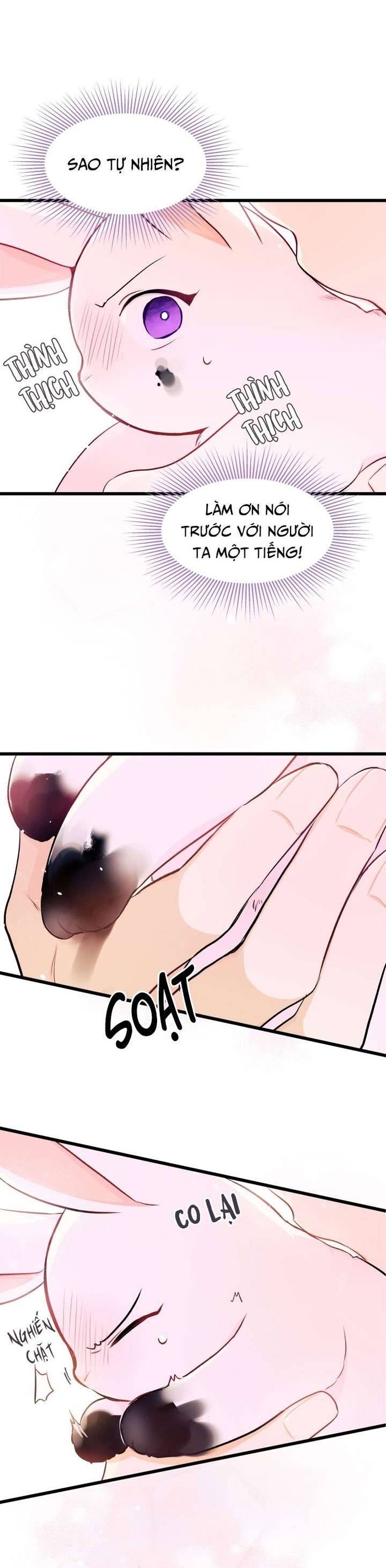 Mối Quan Hệ Cộng Sinh Giữa Báo Đen Và Thỏ Trắng - Chap 10 Ảnh 33
