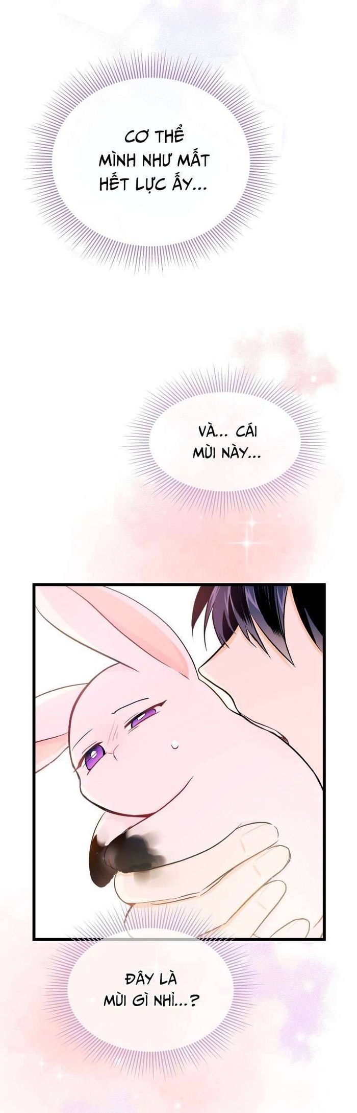Mối Quan Hệ Cộng Sinh Giữa Báo Đen Và Thỏ Trắng - Chap 10 Ảnh 36