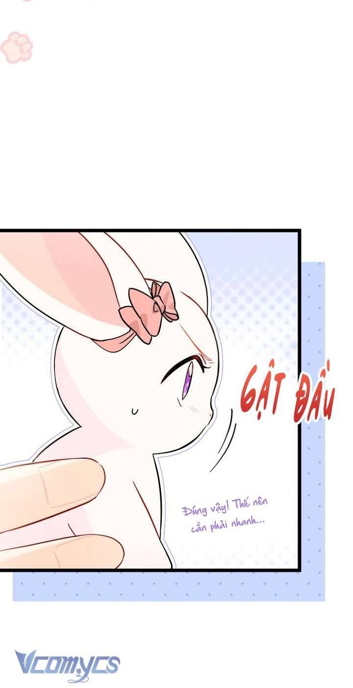 Mối Quan Hệ Cộng Sinh Giữa Báo Đen Và Thỏ Trắng - Chap 101 Ảnh 20