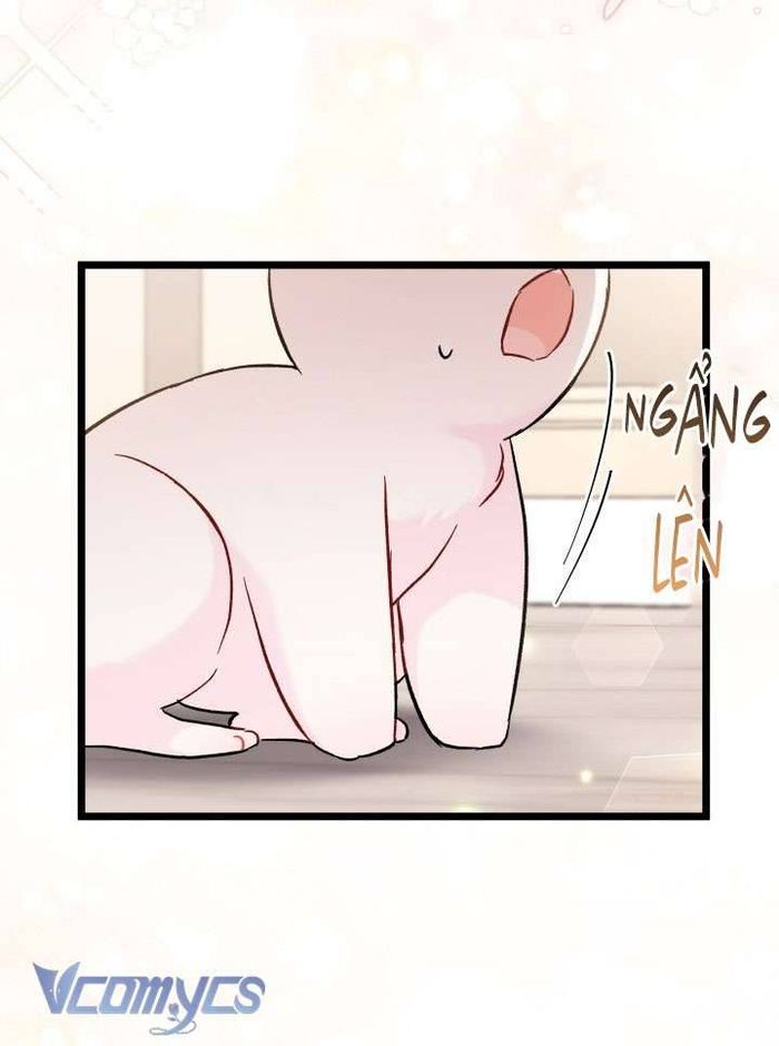 Mối Quan Hệ Cộng Sinh Giữa Báo Đen Và Thỏ Trắng - Chap 101 Ảnh 47