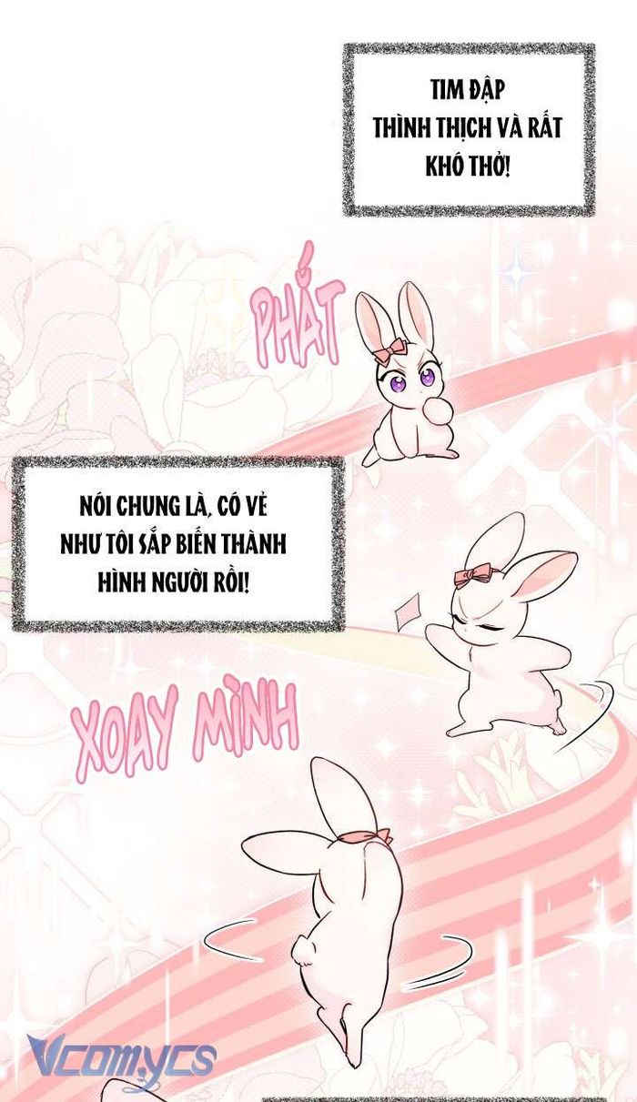 Mối Quan Hệ Cộng Sinh Giữa Báo Đen Và Thỏ Trắng - Chap 101 Ảnh 50