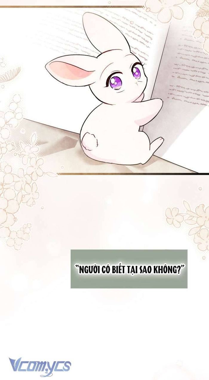 Mối Quan Hệ Cộng Sinh Giữa Báo Đen Và Thỏ Trắng - Chap 104 Ảnh 19