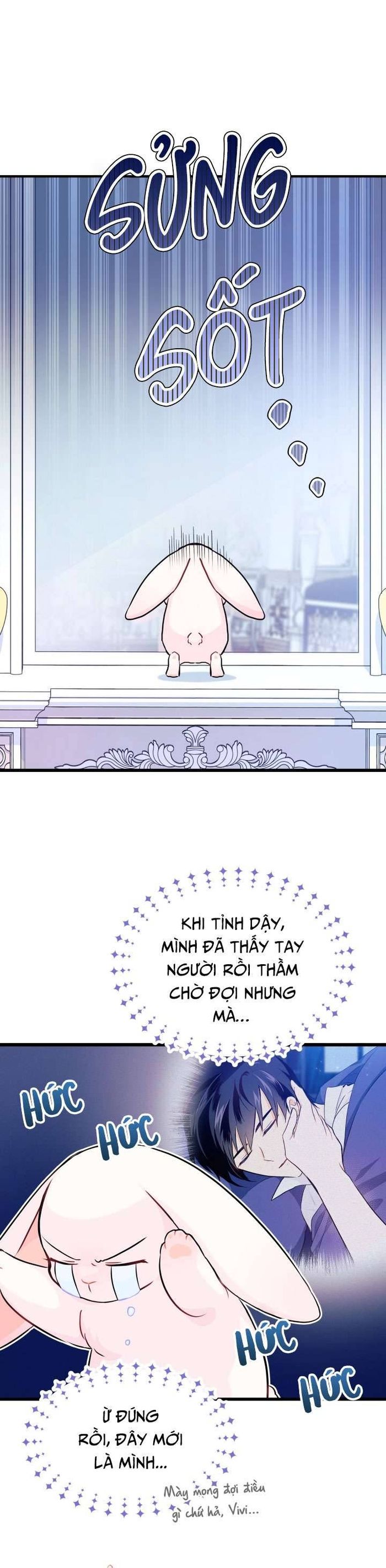 Mối Quan Hệ Cộng Sinh Giữa Báo Đen Và Thỏ Trắng - Chap 11 Ảnh 12
