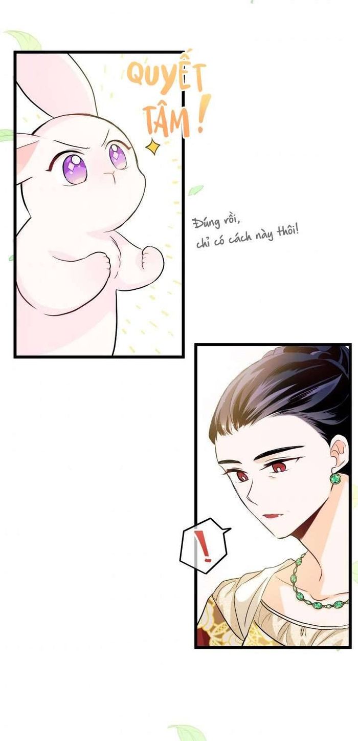 Mối Quan Hệ Cộng Sinh Giữa Báo Đen Và Thỏ Trắng - Chap 11 Ảnh 33