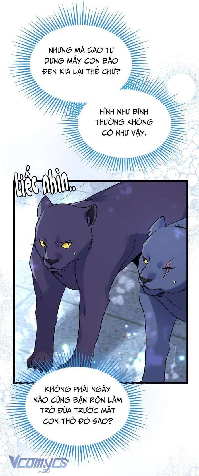 Mối Quan Hệ Cộng Sinh Giữa Báo Đen Và Thỏ Trắng - Chap 112 Ảnh 20