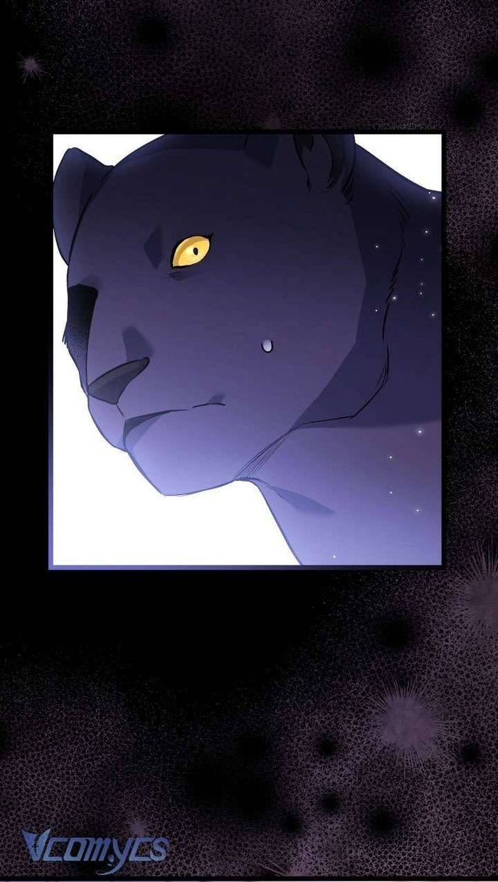 Mối Quan Hệ Cộng Sinh Giữa Báo Đen Và Thỏ Trắng - Chap 115 Ảnh 40