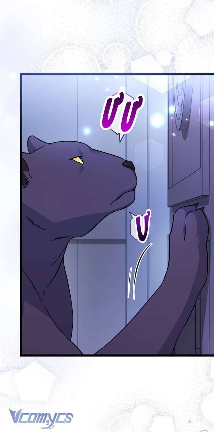Mối Quan Hệ Cộng Sinh Giữa Báo Đen Và Thỏ Trắng - Chap 117 Ảnh 12