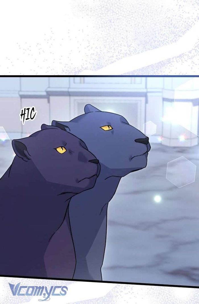 Mối Quan Hệ Cộng Sinh Giữa Báo Đen Và Thỏ Trắng - Chap 117 Ảnh 56