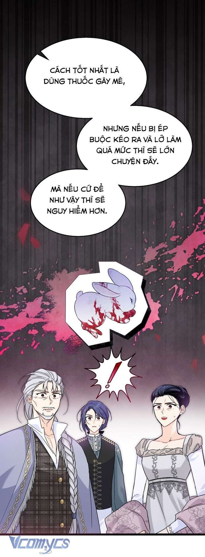 Mối Quan Hệ Cộng Sinh Giữa Báo Đen Và Thỏ Trắng - Chap 117 Ảnh 7