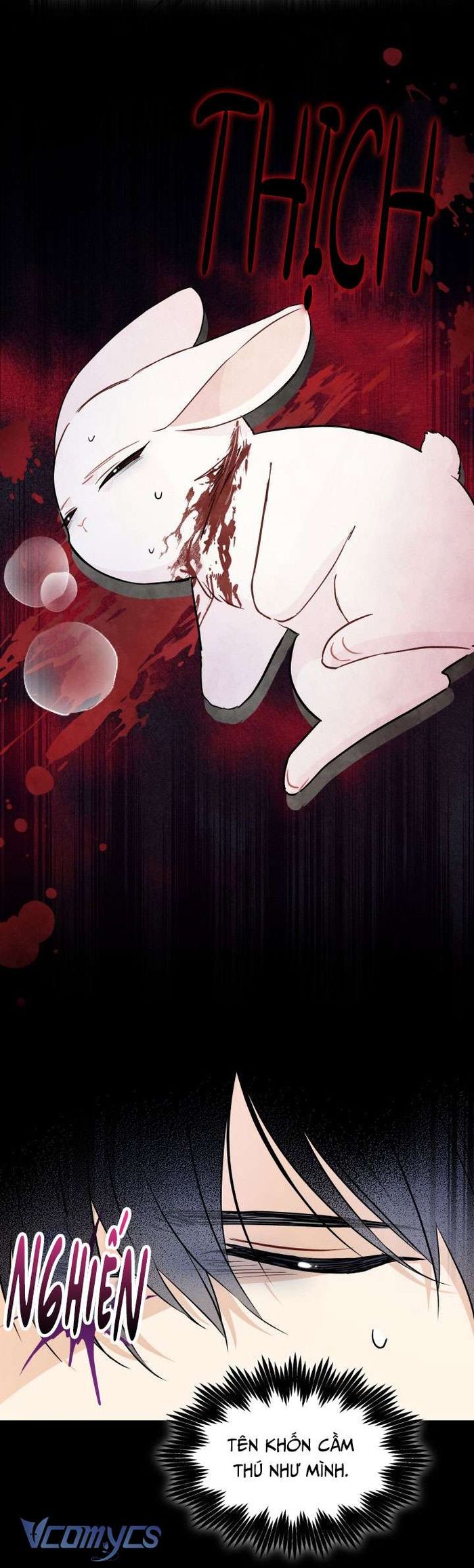 Mối Quan Hệ Cộng Sinh Giữa Báo Đen Và Thỏ Trắng - Chap 119 Ảnh 20
