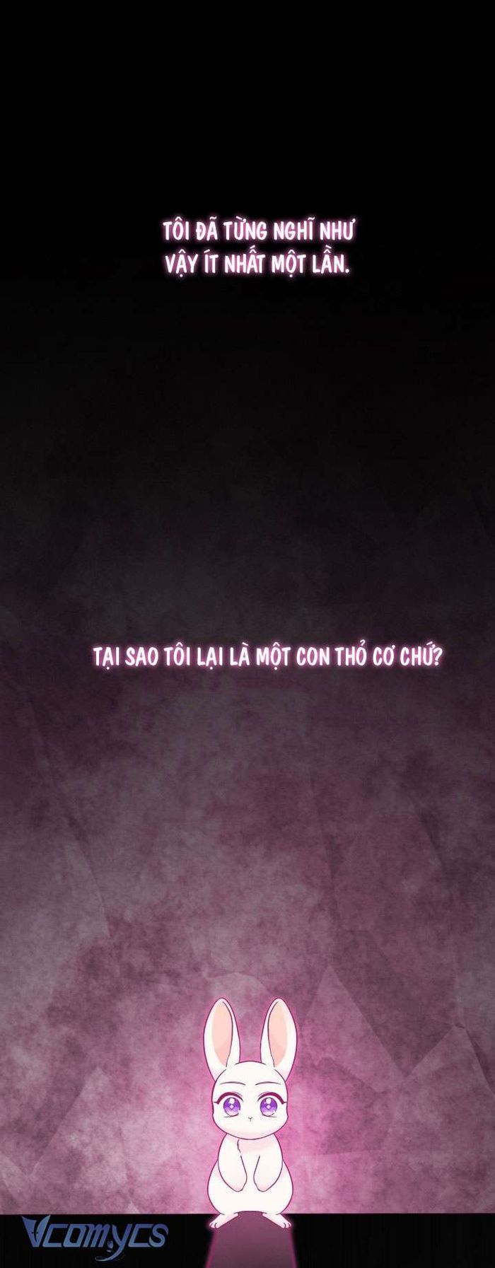 Mối Quan Hệ Cộng Sinh Giữa Báo Đen Và Thỏ Trắng - Chap 120 Ảnh 1