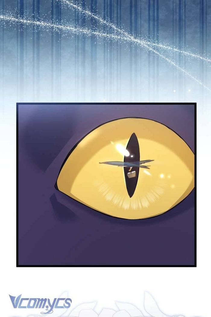 Mối Quan Hệ Cộng Sinh Giữa Báo Đen Và Thỏ Trắng - Chap 121 Ảnh 47