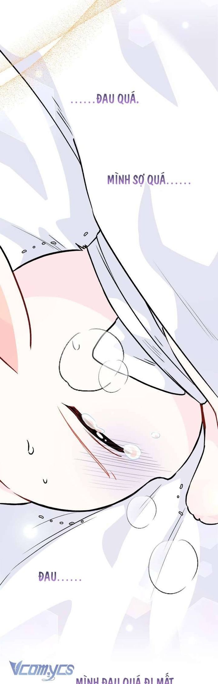 Mối Quan Hệ Cộng Sinh Giữa Báo Đen Và Thỏ Trắng - Chap 122 Ảnh 30