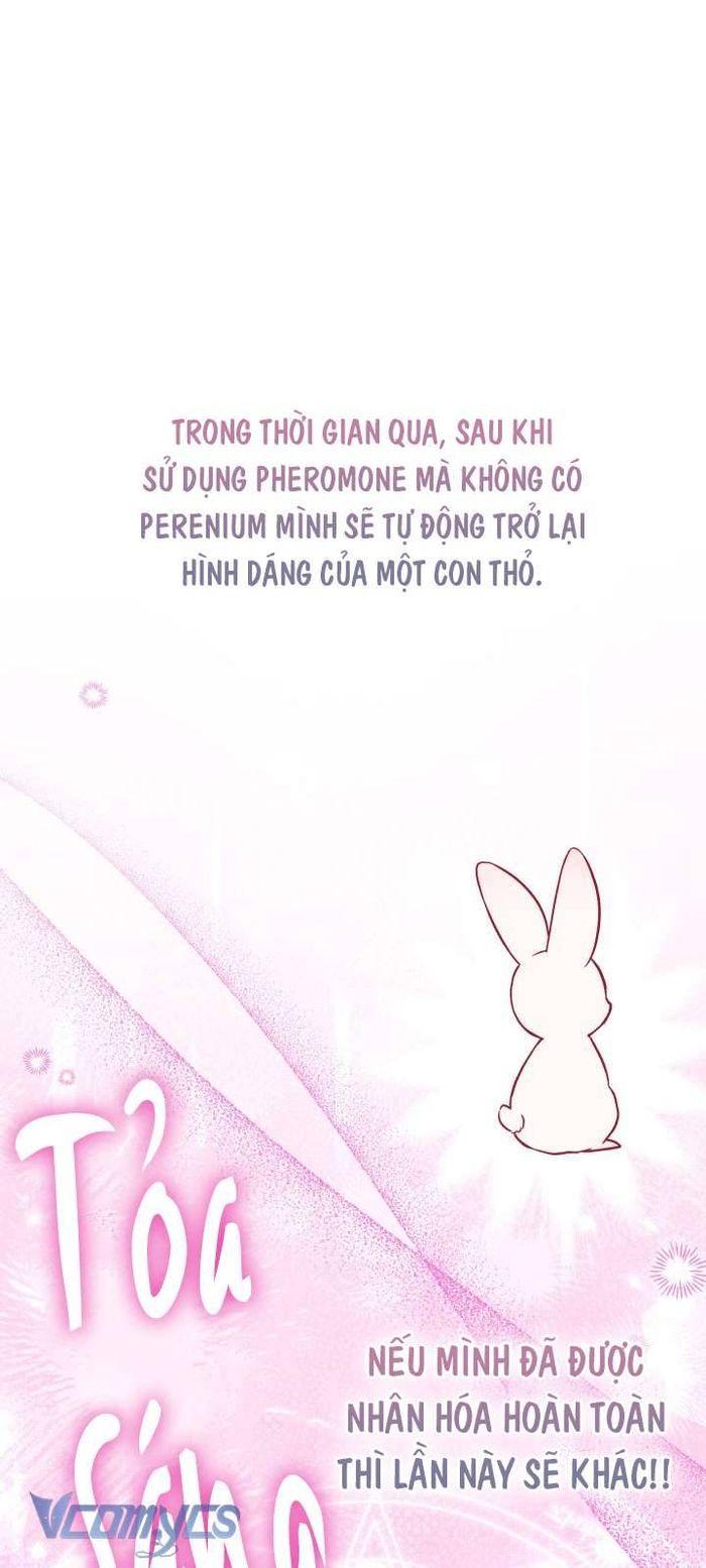 Mối Quan Hệ Cộng Sinh Giữa Báo Đen Và Thỏ Trắng - Chap 123 Ảnh 27