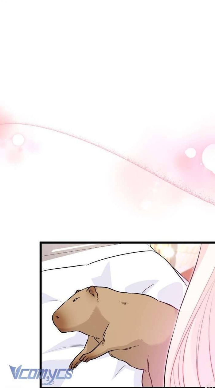 Mối Quan Hệ Cộng Sinh Giữa Báo Đen Và Thỏ Trắng - Chap 123 Ảnh 29
